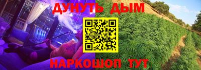 крисы Новокубанск