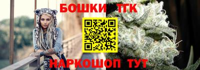 сатива Новодвинск