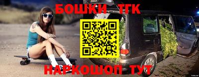 крисы Новокубанск