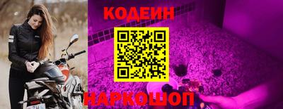 крисы Новокубанск