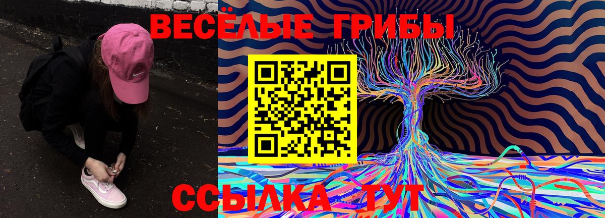 Старая Купавна  ЭКСТАЗИ  LSD-25  МЕФ кристаллы  ГАШИШ  Каннабис  Меф МЯУ МЯУ  Вход с VPN  COCAIN 