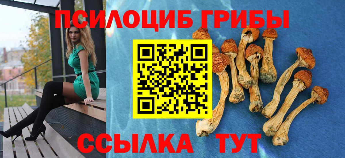 Псилоцибиновые грибы прущие грибы Старая Купавна